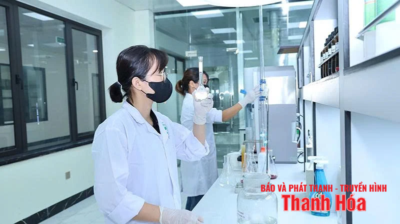 “Nền móng mềm” m88 trang chủ năng lực cạnh tranh