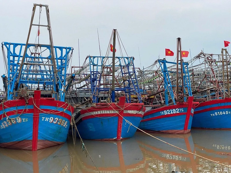 Gần 6.600 tàu thuyền đã neo đậu, tránh trú bão an toàn