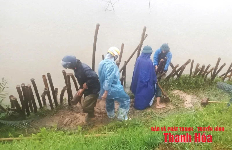 Xử lý sạt trượt mái đê cống Đồng Đền 2 tại m88 the thao
