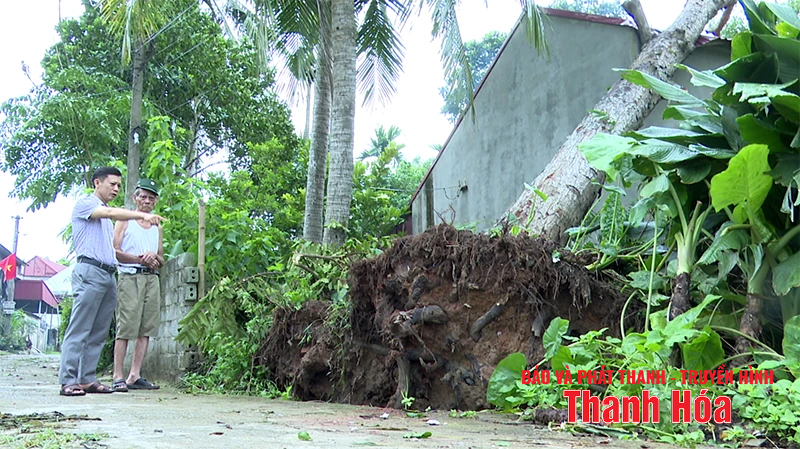 m88 link mới nhất địa phương trên địa bàn tỉnh Thanh Hóa gấp rút triển khai công tác ứng phó bão số 3