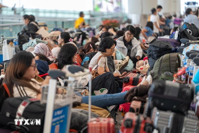 Bão Wipha có thể khiến Hong Kong thiệt hại 255 triệu USD chỉ m88 link mới nhất một ngày