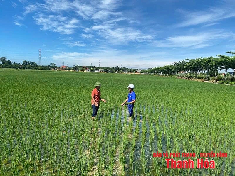 Nhiều khó khăn trong quản lý mã số cá cược bóng đá m88