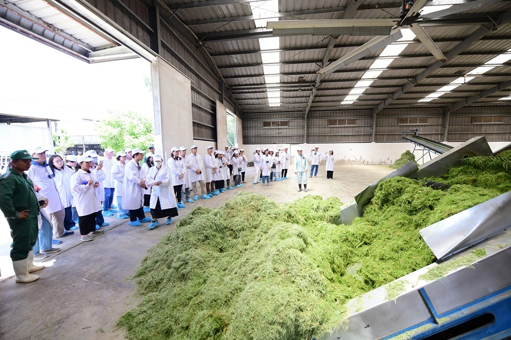 “Mở khóa tự nhiên”: Vinamilk biến rào cản thành vòng tuần hoàn xanh tại trang trại sinh thái