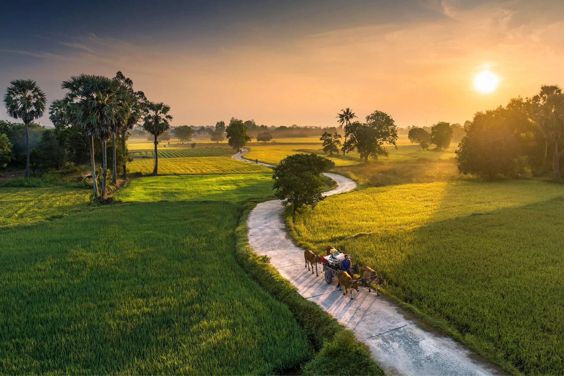 [E-Magazine]: m88 trang chủ vi