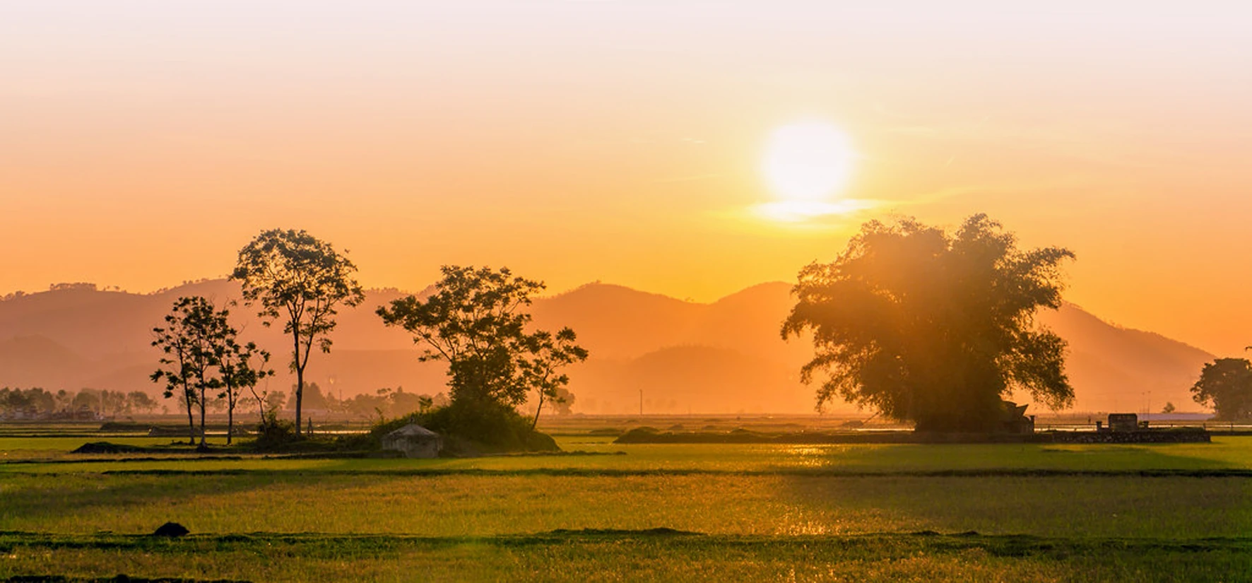 [E-Magazine]: m88 trang chủ vi