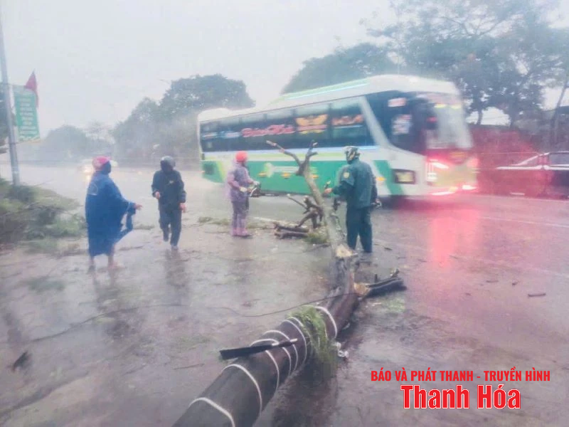 Thanh niên xung kích hỗ trợ người dân phòng chống bão số 3