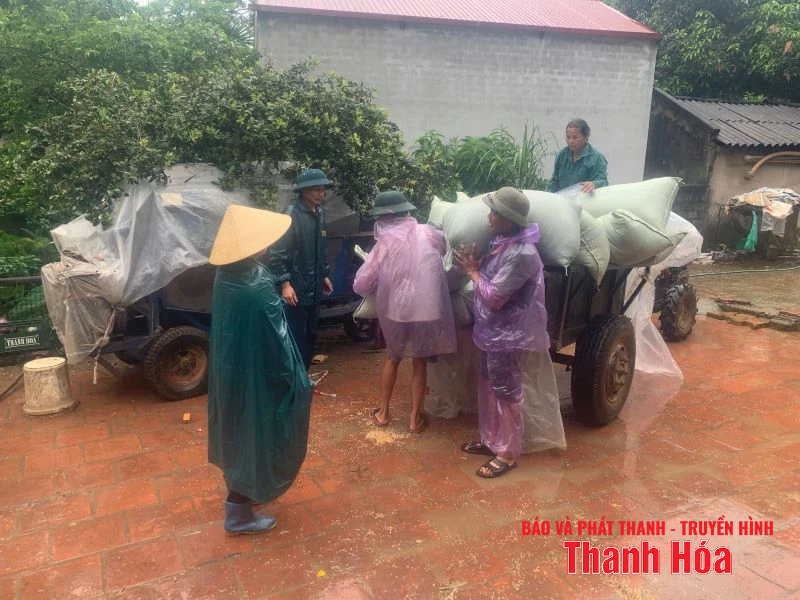 Thanh niên xung kích hỗ trợ người dân phòng chống bão số 3