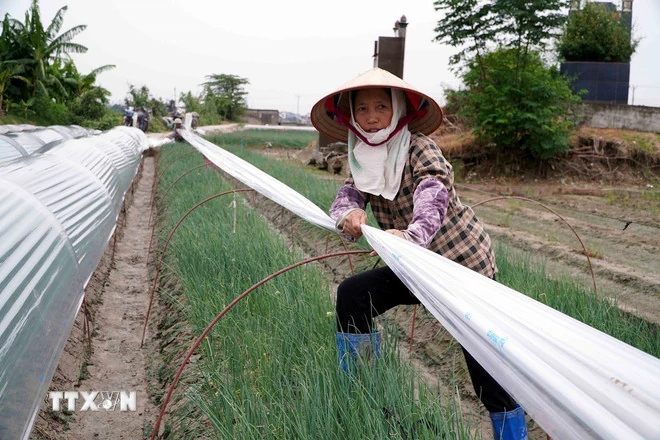 Thủ tướng yêu cầu khẩn trương triển khai ứng phó khẩn cấp với m m88 số 3