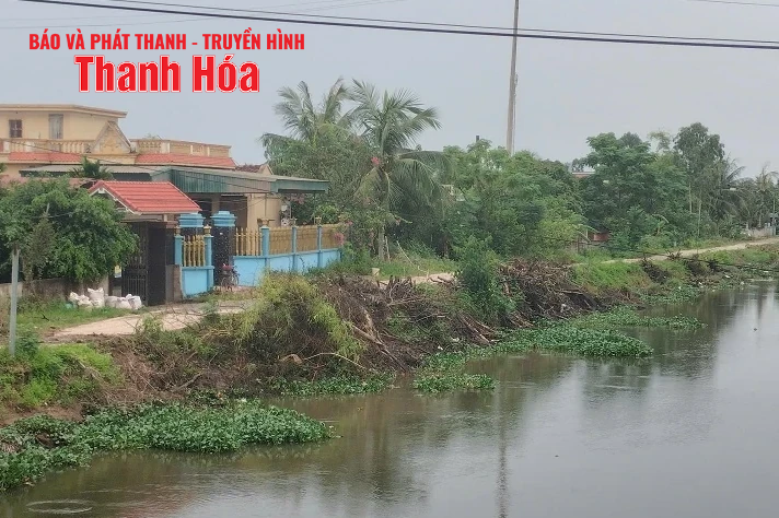 m88 link mới nhất địa phương trên địa bàn tỉnh Thanh Hóa gấp rút triển khai công tác ứng phó bão số 3
