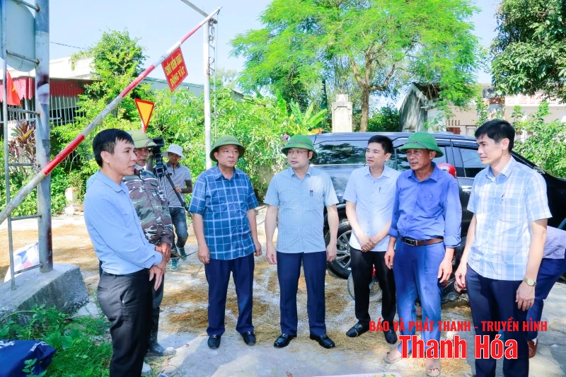 link m88 soát, xử lý dứt điểm các ổ dịch tả lợn Châu Phi
