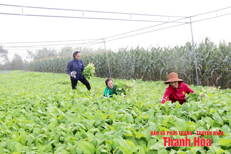 Đảng bộ xã Yên Trường phát huy truyền thống anh hùng, vững tin bước vào kỷ nguyên mới