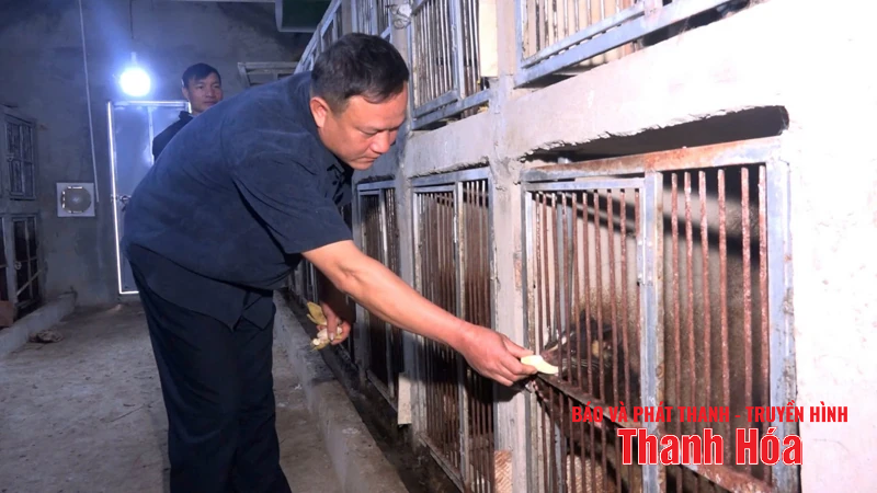 Hướng xóa đói giảm nghèo mới ở xã biên giới Yên Khương