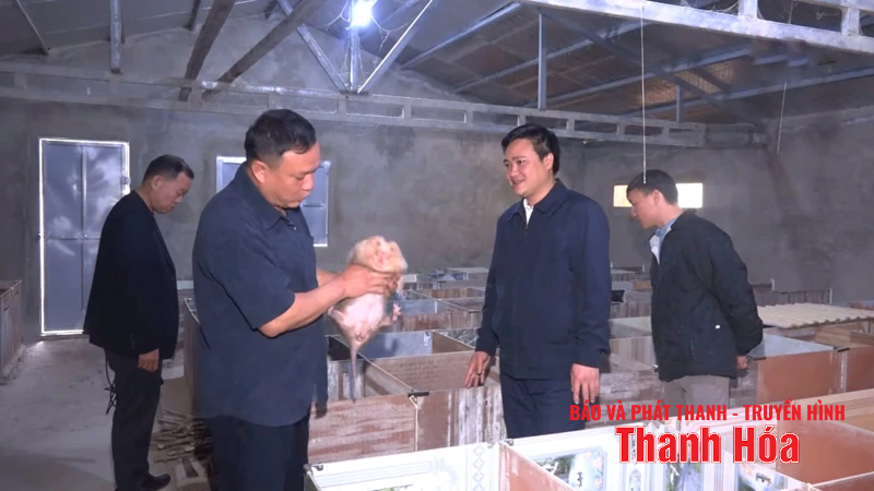 Hướng xóa đói giảm nghèo mới ở xã biên giới Yên Khương