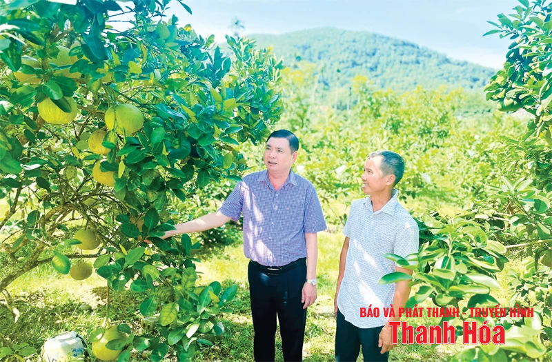 Huy động mọi nguồn lực đưa Hà Trung phát triển nhanh, bền vững