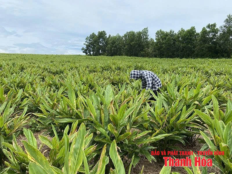 Lấy tiêu chí vao m88 làm “đòn bẩy” XDNTM nâng cao