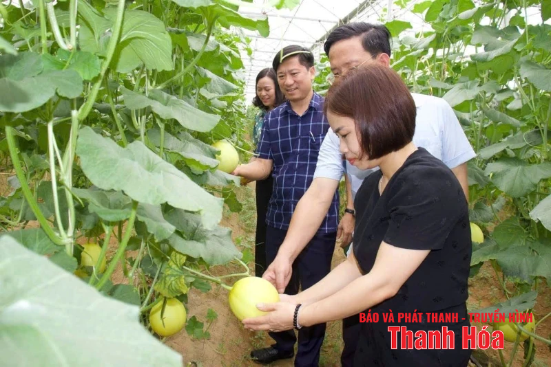 Nga Sơn khẳng định vị thế xã trung tâm, động lực phát triển của khu vực