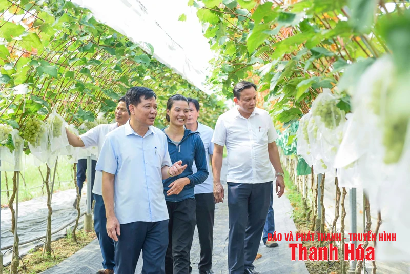 Xây dựng Đồng Tiến sớm trở thành đô thị loại V, từng bước hiện đại