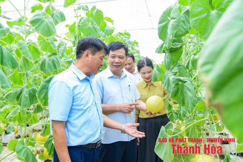 Xây dựng Đồng Tiến sớm trở thành đô thị loại V, từng bước hiện đại