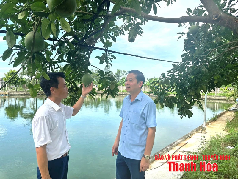 Xây dựng Nga Thắng phát triển nhanh, bền vững, trở thành xã NTM nâng cao vào năm 2030