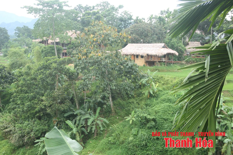 Phòng tránh nguy cơ sạt lở