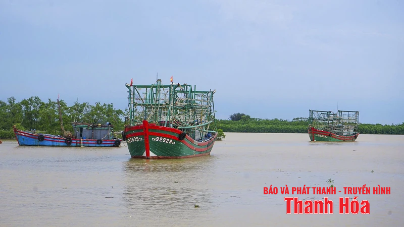 Ngư dân Thanh Hóa khẩn trương “chạy bão” số 5