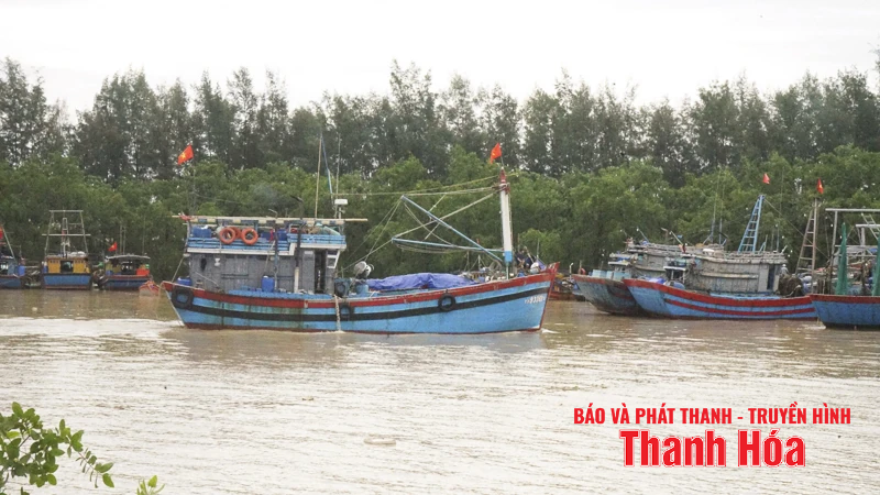 Ngư dân Thanh Hóa khẩn trương “chạy bão” số 5