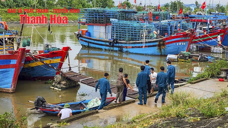Ngư dân Thanh Hóa khẩn trương “chạy bão” số 5