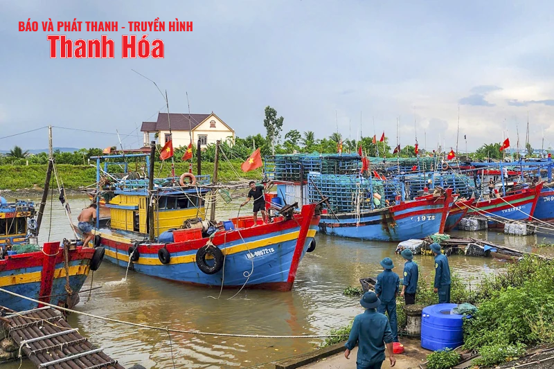 Ngư dân Thanh Hóa khẩn trương “chạy bão” số 5