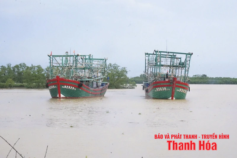 Ngư dân Thanh Hóa khẩn trương “chạy bão” số 5