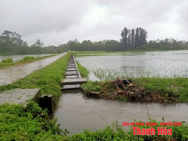 Ngập lụt, chia cắt cục bộ; bước đầu ghi nhận nhiều thiệt hại về nhà cửa, hoa màu