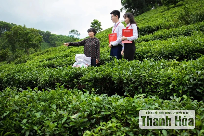 Đẩy mạnh sản xuất, kinh doanh, mở rộng thị trường
