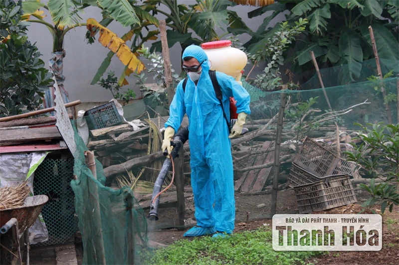 Giải “bài toán” thiếu nhân viên thú y cơ sở