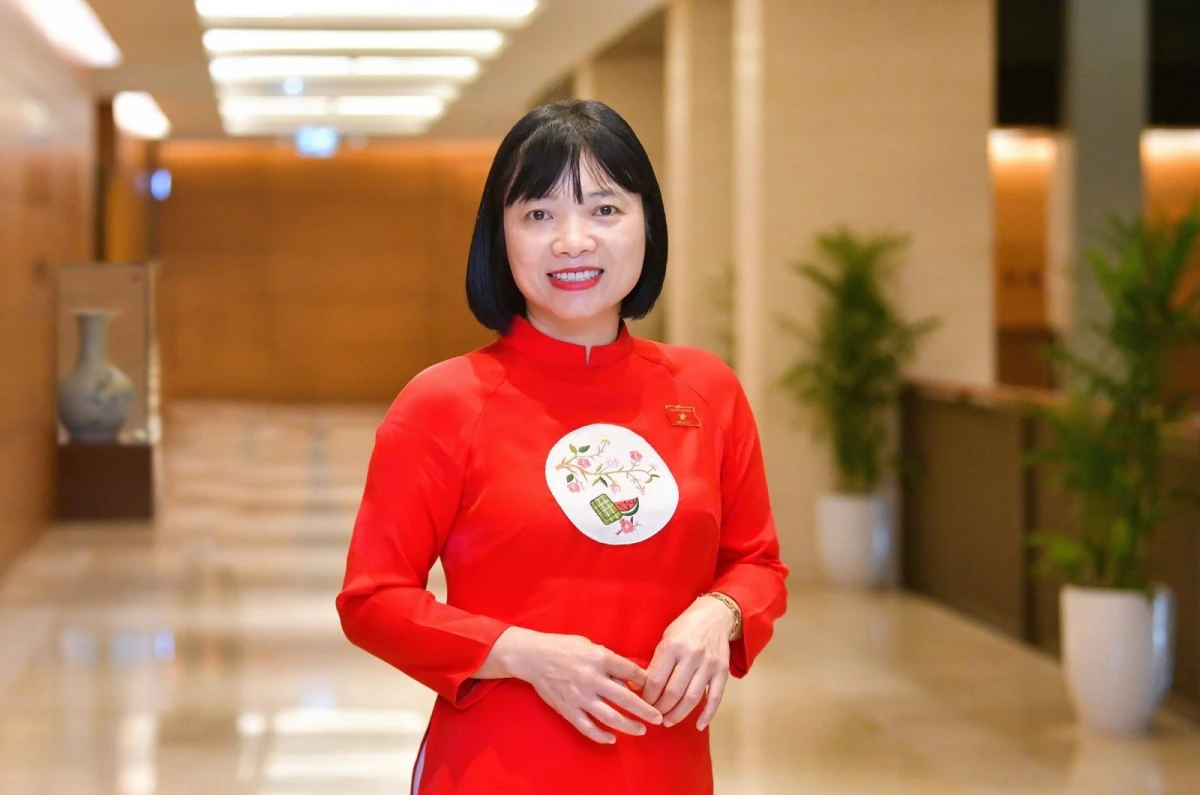 Có nhất thiết phải kiểm định mọi chương trình giáo dục đại học?