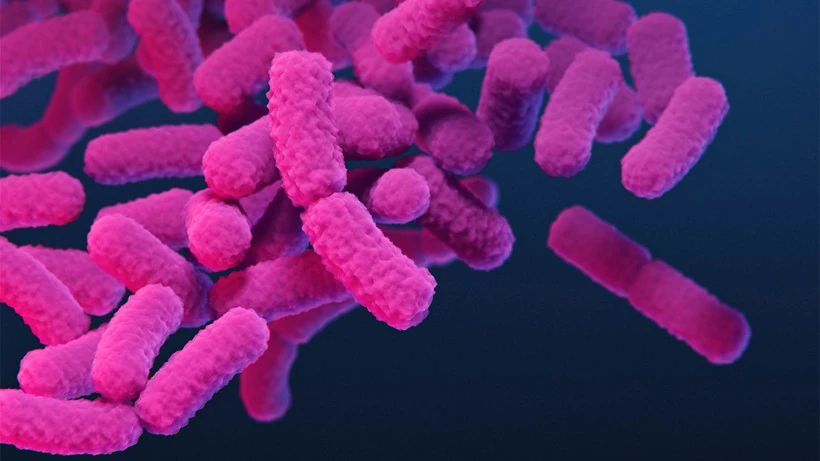 Canada công bố danh sách 29 siêu vi khuẩn nguy hiểm nhất đối với con người