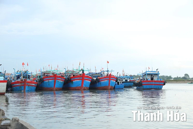 Thanh Hóa: Hơn 6.400 phương tiện tàu thuyền đã vào nơi neo đậu an toàn