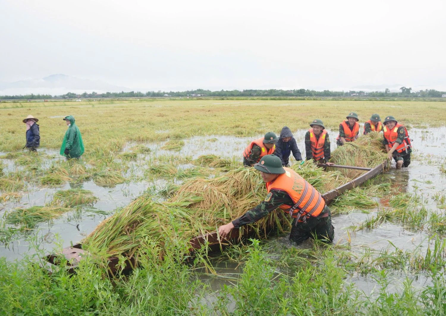 Mãi mãi xứng danh Bộ đội Cụ Hồ
