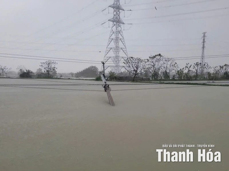 Khẩn trương khắc phục sự cố, sớm cấp điện trở lại cho khách hàng