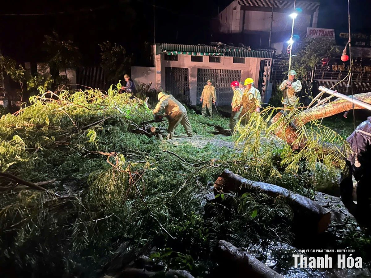 Cây xanh bị bật gốc, gãy đổ do ảnh hưởng của bão số 10