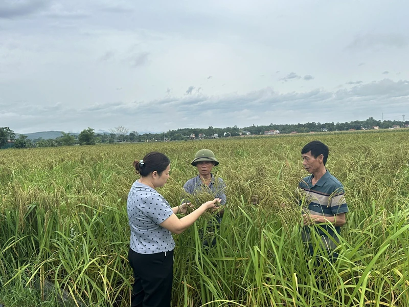 Thạch Bình đồng lòng đưa nghị quyết vào cuộc sống
