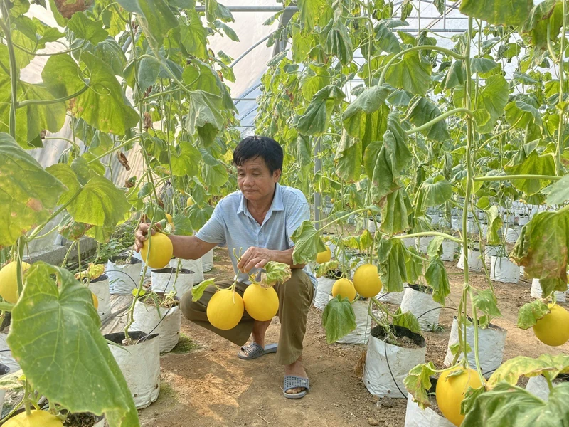 Phát triển nông nghiệp công nghệ cao ở các xã miền núi