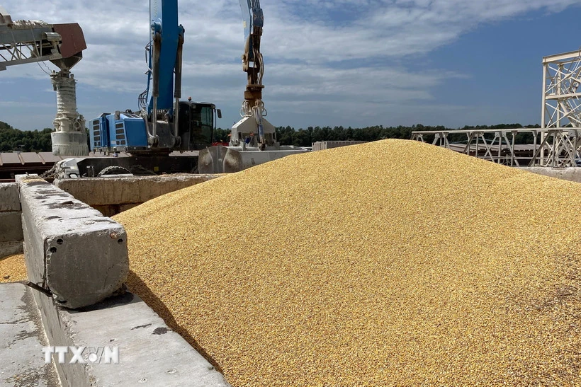 EU đồng ý giảm thuế nhập khẩu đối với nhiều sản phẩm nông sản Ukraine