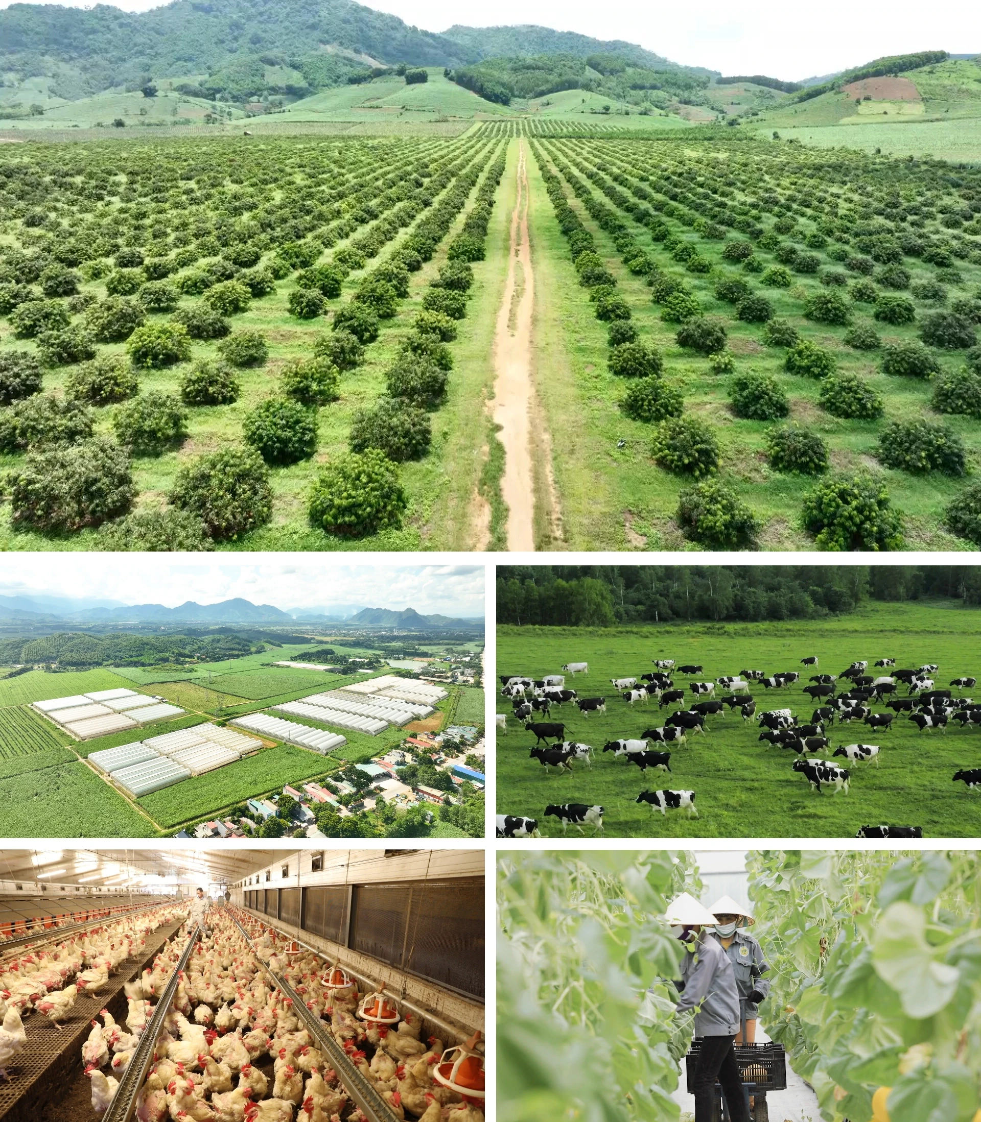 [E - Magazine] Thanh Hoá vượt qua thách thức