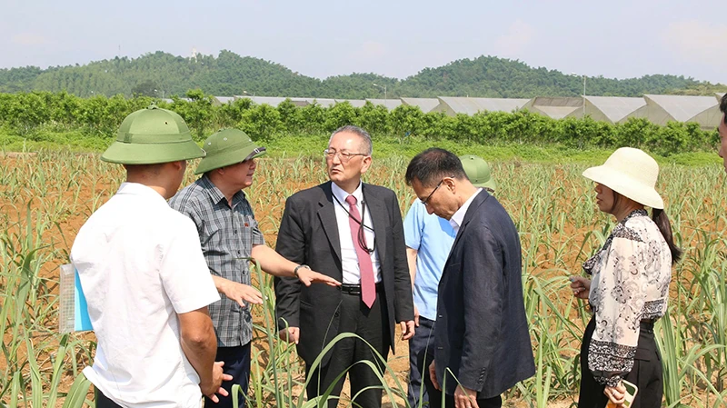 Chinh phục thị trường khó tính với “hộ chiếu xanh”