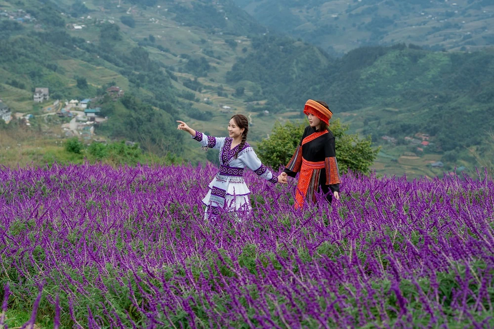 Lạc vào “miền cổ tích” trên đỉnh Fansipan mùa mây