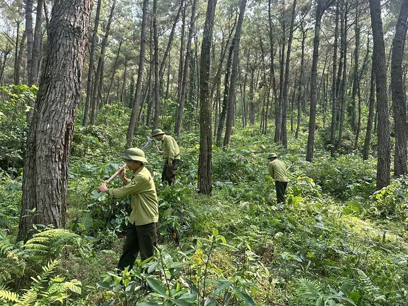 Giữ rừng bền vững, hiệu quả tại Ban Quản lý rừng phòng hộ Thạch Thành