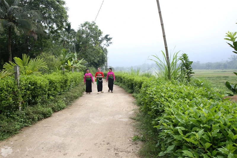 Gìn giữ “không gian xanh” trong XDNTM