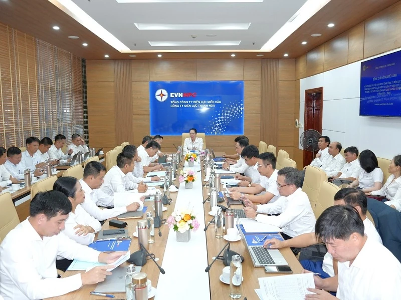 Chủ tịch HĐTV EVNNPC Đỗ Nguyệt Ánh làm việc với Công ty Điện lực Thanh Hóa