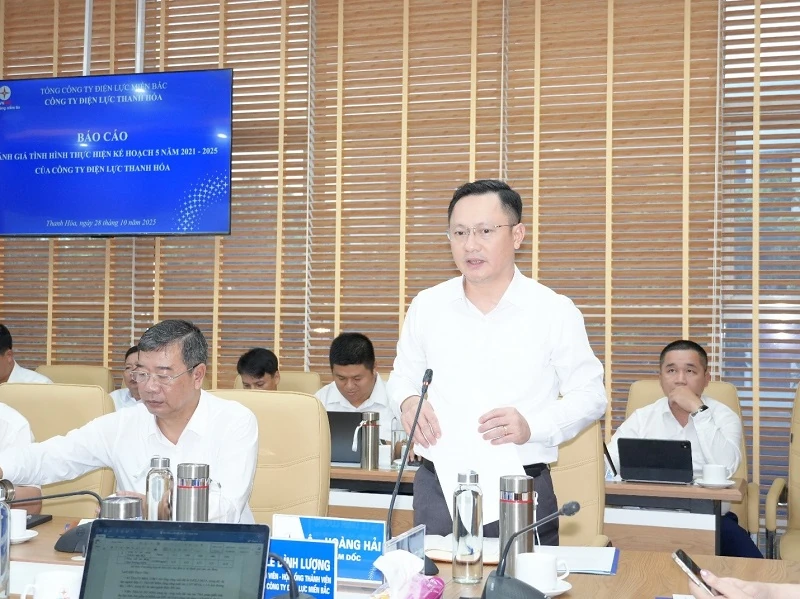 Chủ tịch HĐTV EVNNPC Đỗ Nguyệt Ánh làm việc với Công ty Điện lực Thanh Hóa