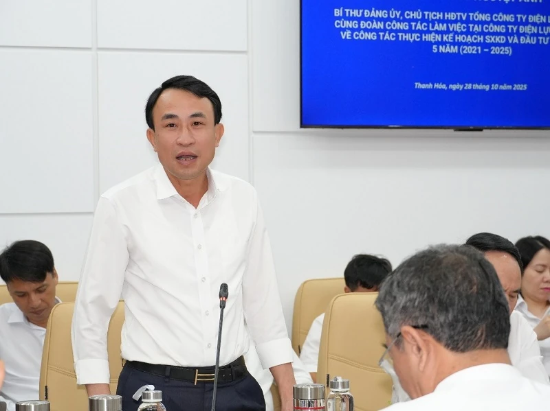 Chủ tịch HĐTV EVNNPC Đỗ Nguyệt Ánh làm việc với Công ty Điện lực Thanh Hóa
