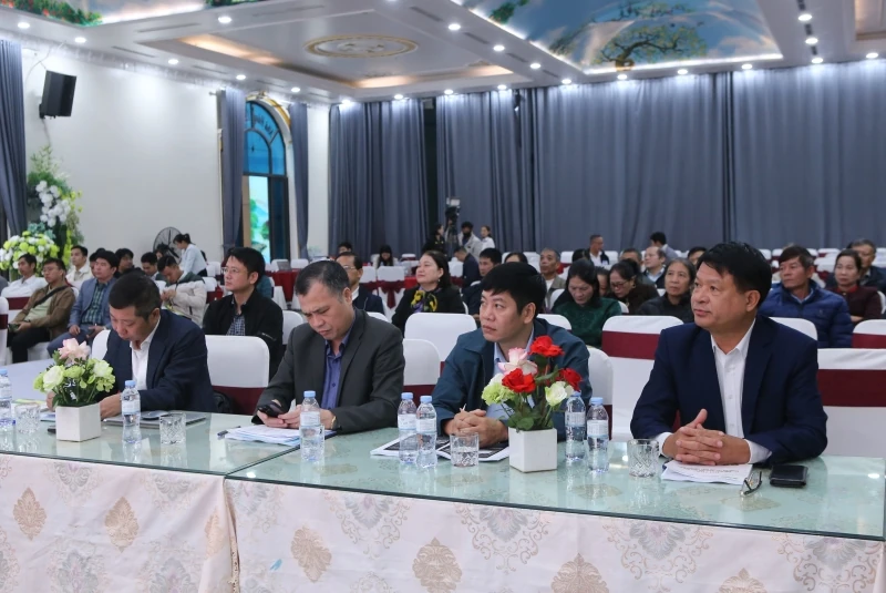 Hội thảo “Giải pháp nâng cao hiệu quả chuỗi giá trị sản xuất sắn bền vững”